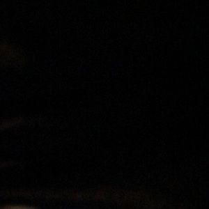 Meet your Posher, Bruce